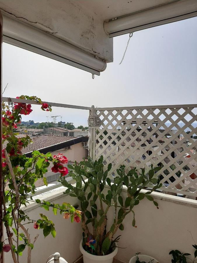Miguel Apartment 特罗佩阿 外观 照片